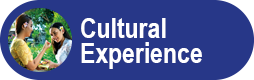 Cultural Experience
